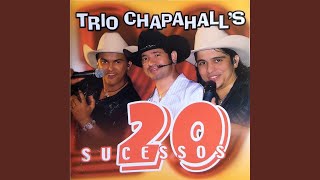 Video voorbeeld van "Trio Chapahalls - Na Base do Cacete (Ao Vivo)"