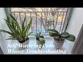 Self Watering Pots in Winter | Troubleshooting &amp; Fixing Mold Issues &amp; Adapting Pots for Cold Weather