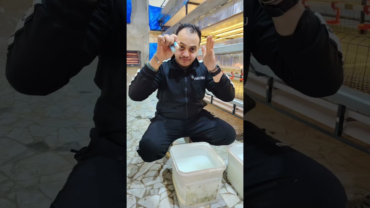 الفيديو 5 فجر اليوم 7 التحصينة الجزء الأول