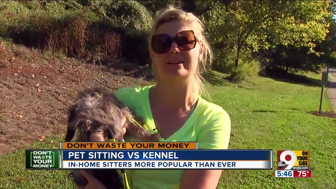 scamscavenger In-home pet sitters: Plusses and minuses ...