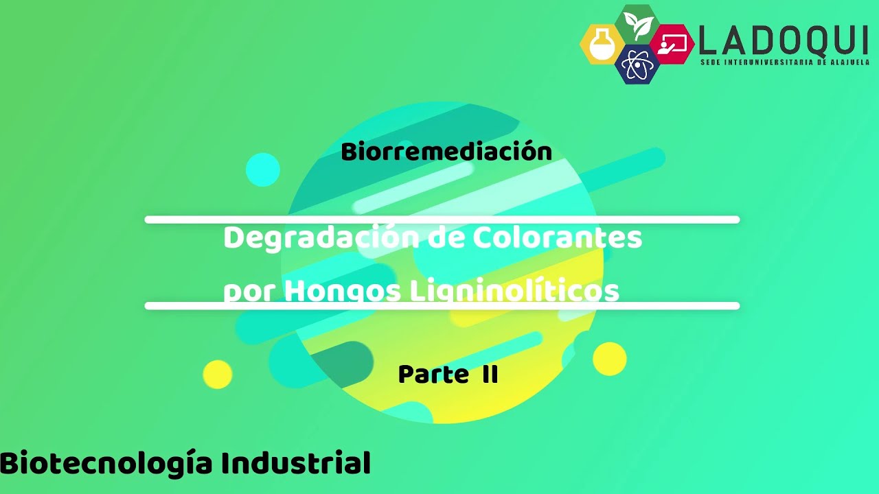 Degradación de Colorantes con Hongos Ligninolíticos - Parte 2 - YouTube