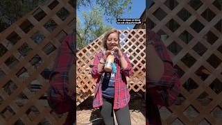 Heyy Babies🤍🤓#caseydonahew #dutchbros #flannel #cadillacranch #amarillotexas