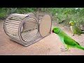 Building most beautiful cage from box paper for parrot trap diy bird trap