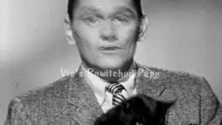 Celebrity Bewitched Season 1 Meet My Wife Promo Net Worth