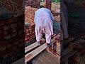 construction tips and tricks 50#ytshorts #villagelife #viralshort #vlog