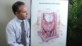 Anatomy of Thyroid Surgery - Thyroid Institute of Utah - Dr. Parsons
