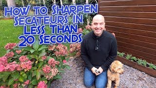 How To Sharpen Secateurs In Less Than 20 Seconds
