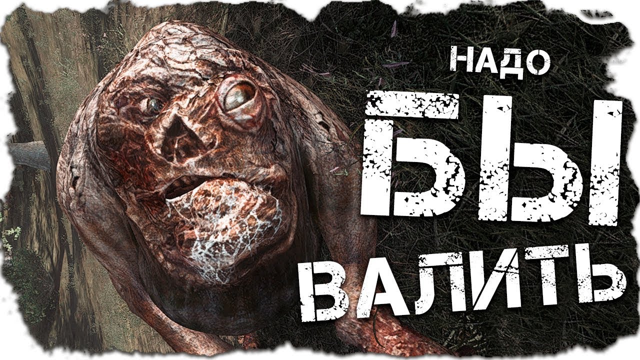 МЫ САМИ НЕ МЕСТНЫЕ [СТАЛКЕР] 14 ЛУЧШИЙ МОД 2019 YouTube