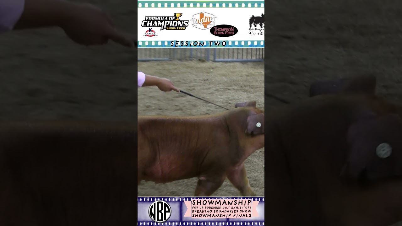 OSF HOG BARN SESSION II DAY I 2