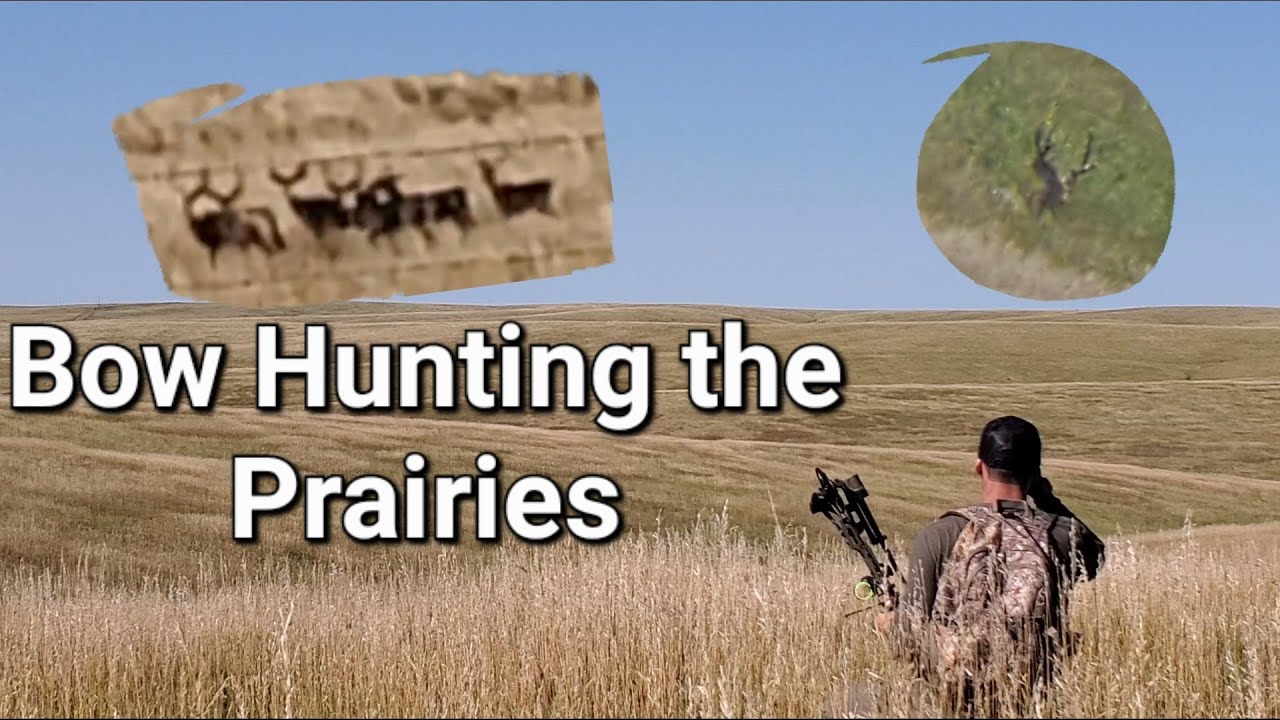 2022 South Dakota Deer Hunting YouTube 2022-south-dakota-deer-hunting-youtube
