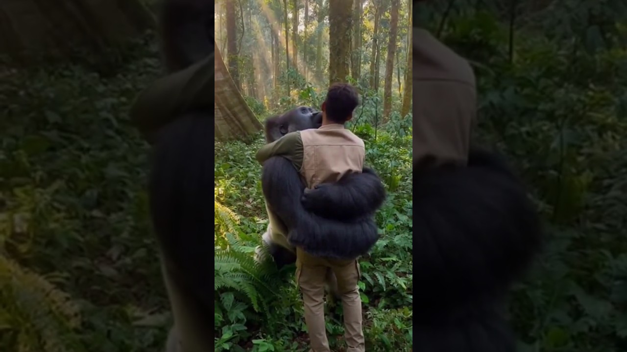 ⚠️ AI Generated Video | This Is NOT Real | For Awareness Only