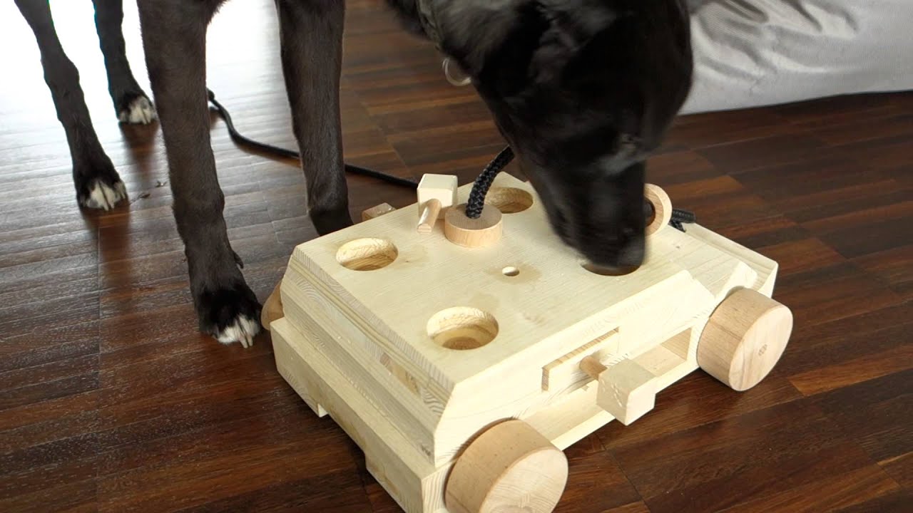 Hundespiel aus Holz - Auto | Hundespiele | Haushalt & Gadgets | Spiele &  Geschenke | Jugglux - Jonglierartikel - Spiele - Geschenkideen