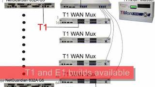 Monitor via T1 or E1: VLAN Router and WAN Mux...