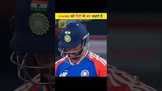 Cricket को हिंदी में क्या कहते हैं? || THE SHARK FACT || #shorts #viral #facts
