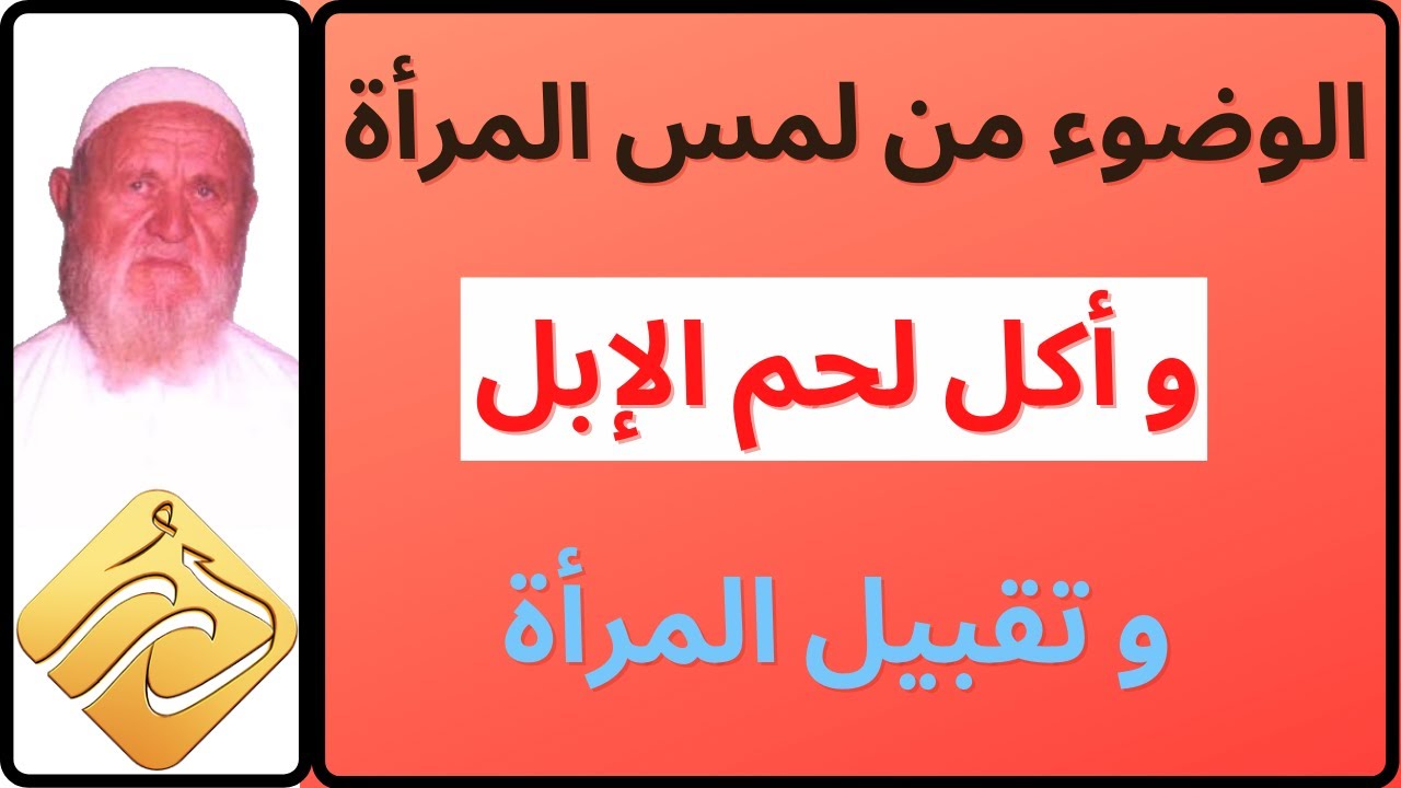 الشيخ الألباني الوضوء من تقبيل أو لمس المرأة و أكل لحم الإبل