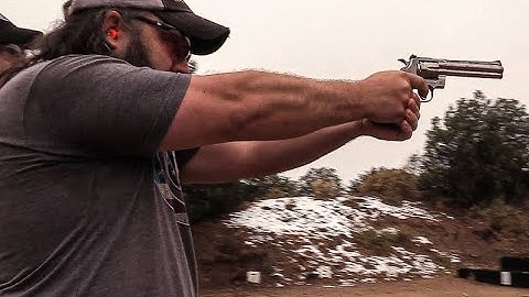 New Colt Python 2020