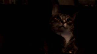 VID00011.AVI