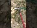 Bersihin Kebun Lebih Cepat Pakai Cangkul Penyiang Ini