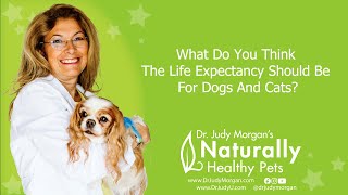 Whats The Life Expectancy For Dogs And Cats?