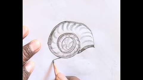 Snail drawing with word c