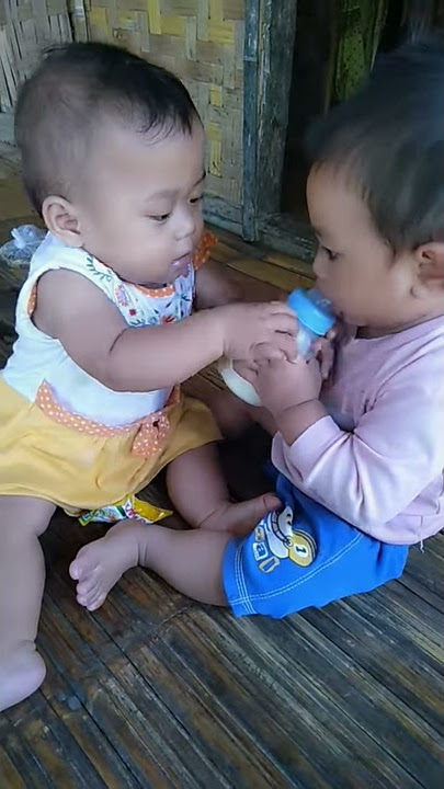 Bayi terlucu#rebutan susu,,#sampe nangis tingkah lucu bayi