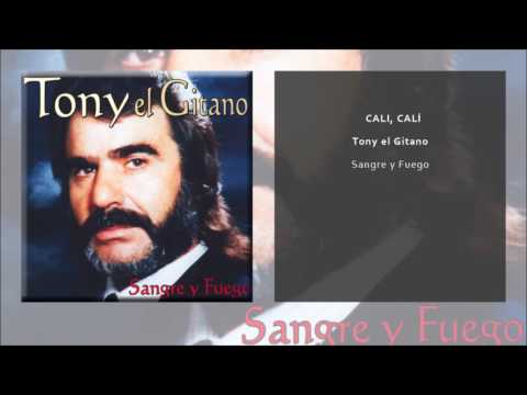 Tony el Gitano - Cali Cali (Single Oficial)