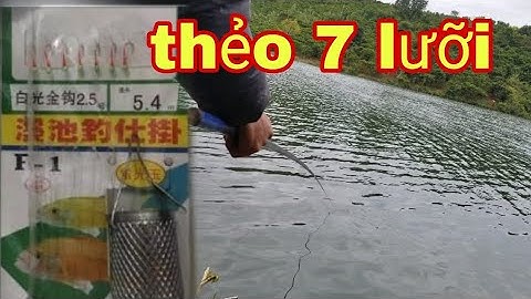 Câu lòng tong Bằng Thẻo Rọ 7 Lưỡi.Không Móc MỒi Xem Thế Nào/NDLDTV