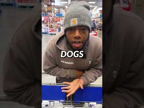 Video: Sams Club trasporta cibo per cani Iams?