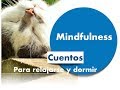 Mindfulness - Cuentos para dormir