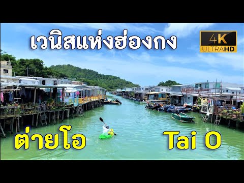 วีดีโอ: ขนส่งไปยังหมู่บ้านชาวประมง Tai O ในฮ่องกง