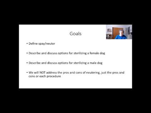 FDSA Webinar Sue Yanoff Neutering Options