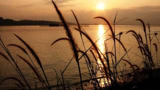 Salih Baba Divanı - Nedir Bu Çektiğim Cevr Ile Sitem