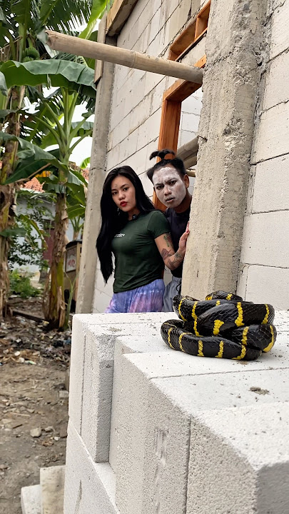 Cemong & Bela Didn't Expect It! Just Leaving the House, They Got a Surprise! #shortsfeed #shorts ...