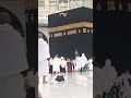#makkahlive #makkah #makkahmadinah #insight #tortoise #drisrarahmed #islamicshorts #beautiful #love