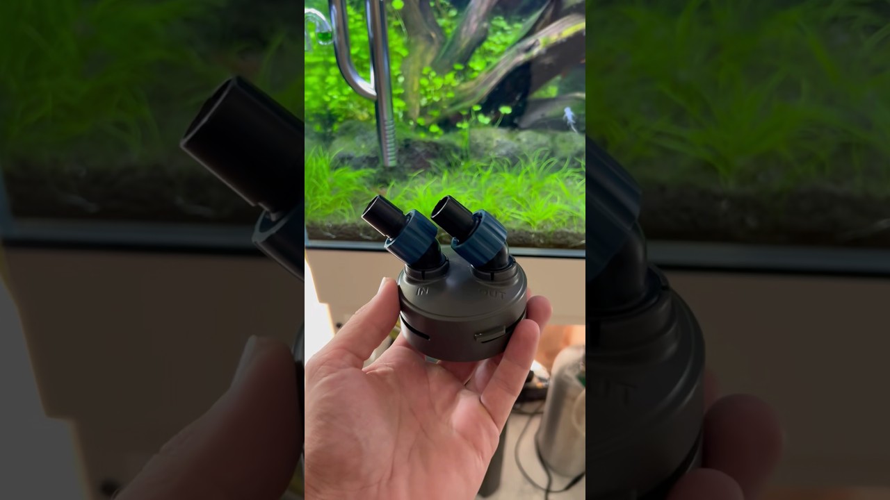 Let’s fix a leak #aquascape #aquarium #fishtank #youtubeshorts