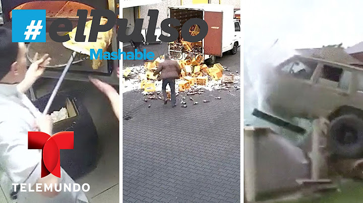 El Pulso | 10 strong contenders for the Darwin Awards | Telemundo
