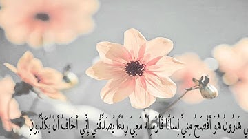 تلاوة | خاشعة من سورة القصص / جامع الملك عبدالعزيز ( ببيشة )