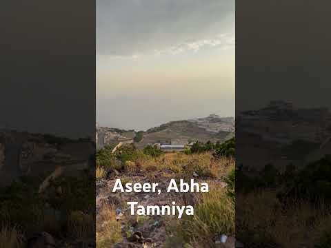    عسير ابها تمنية