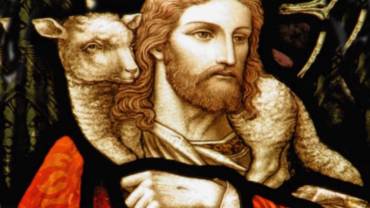 Resultado de imagem para o cordeiro de deus que tira o pecado do mundo