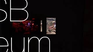 EXDM BYU EXPERIENCE VIDEO 2021