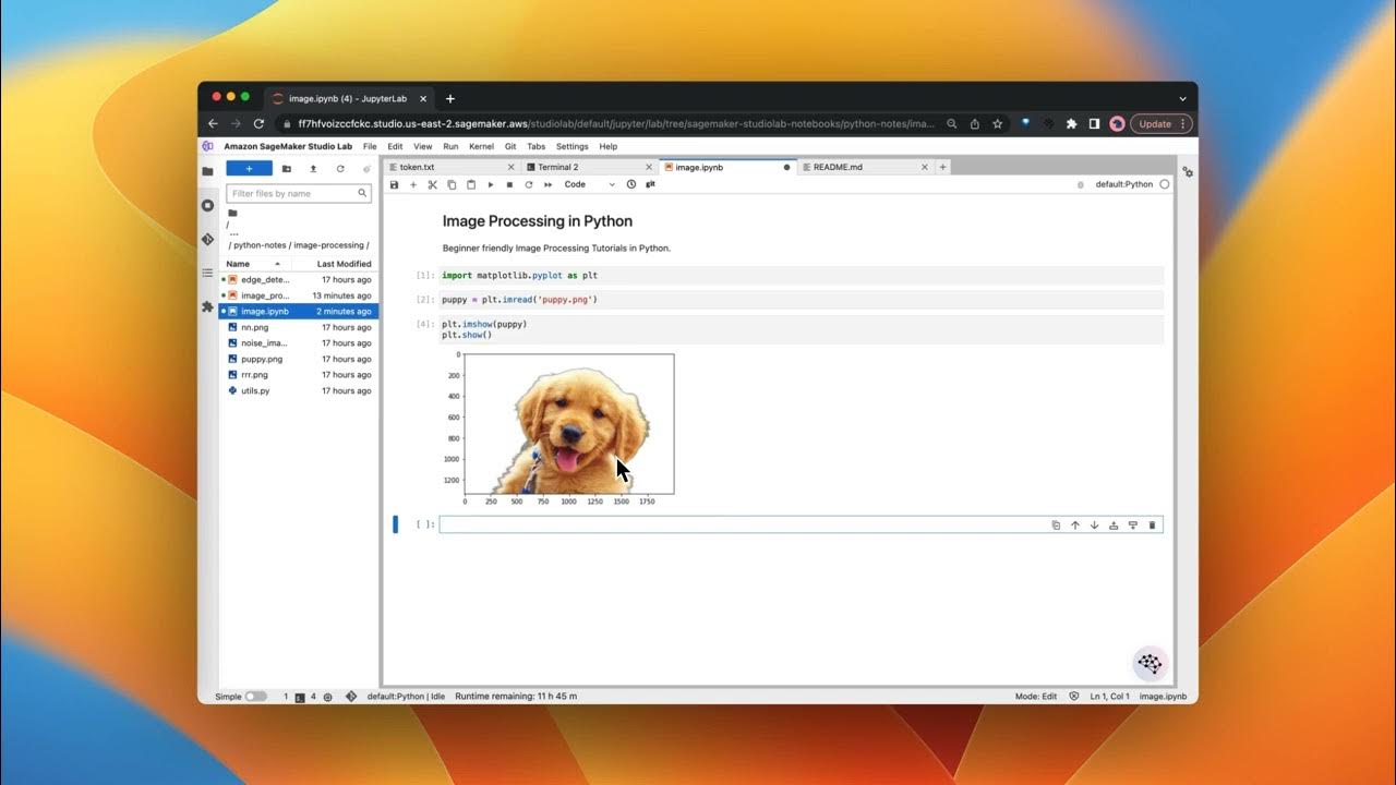 Image Processing in Python # 1 Read and Show images in Python Jupyter ...