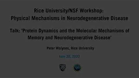 2022 Neurodegenerative Disease Wkshp: Peter Wolynes, Rice University