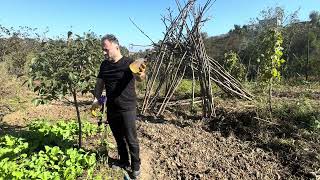 Salyangoz, Sümüklü Böcek, Tırtıl Zararlarına Karşı Doğal Ekolojik Çözüm