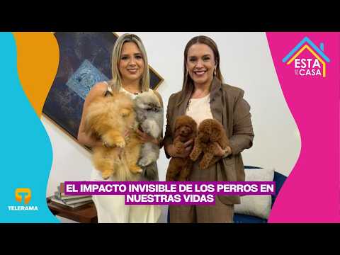 El impacto invisible de los perros en nuestras vidas