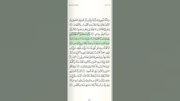 سورة النور "والذين كفروا اعمالهم كسراب بقيعة..." تلاوة العفاسي