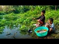 Amazing Fishing video||gramin Kshetra mein do bacchon ne Badi machhali ka Kiya shikar#hookfishing #