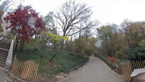 New York City  - Central Park 3