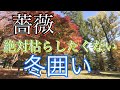 【薔薇】