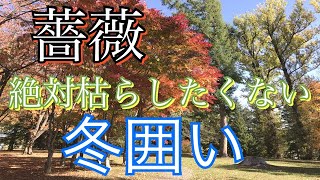 【薔薇】