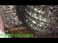 Why Don't You Just Poison The Bees??  I'll Show You Why.